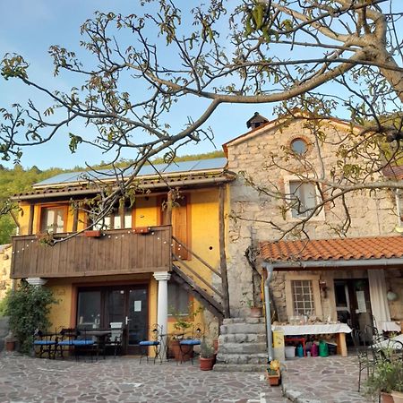 Hostel Xaxid Črni Kal Kültér fotó
