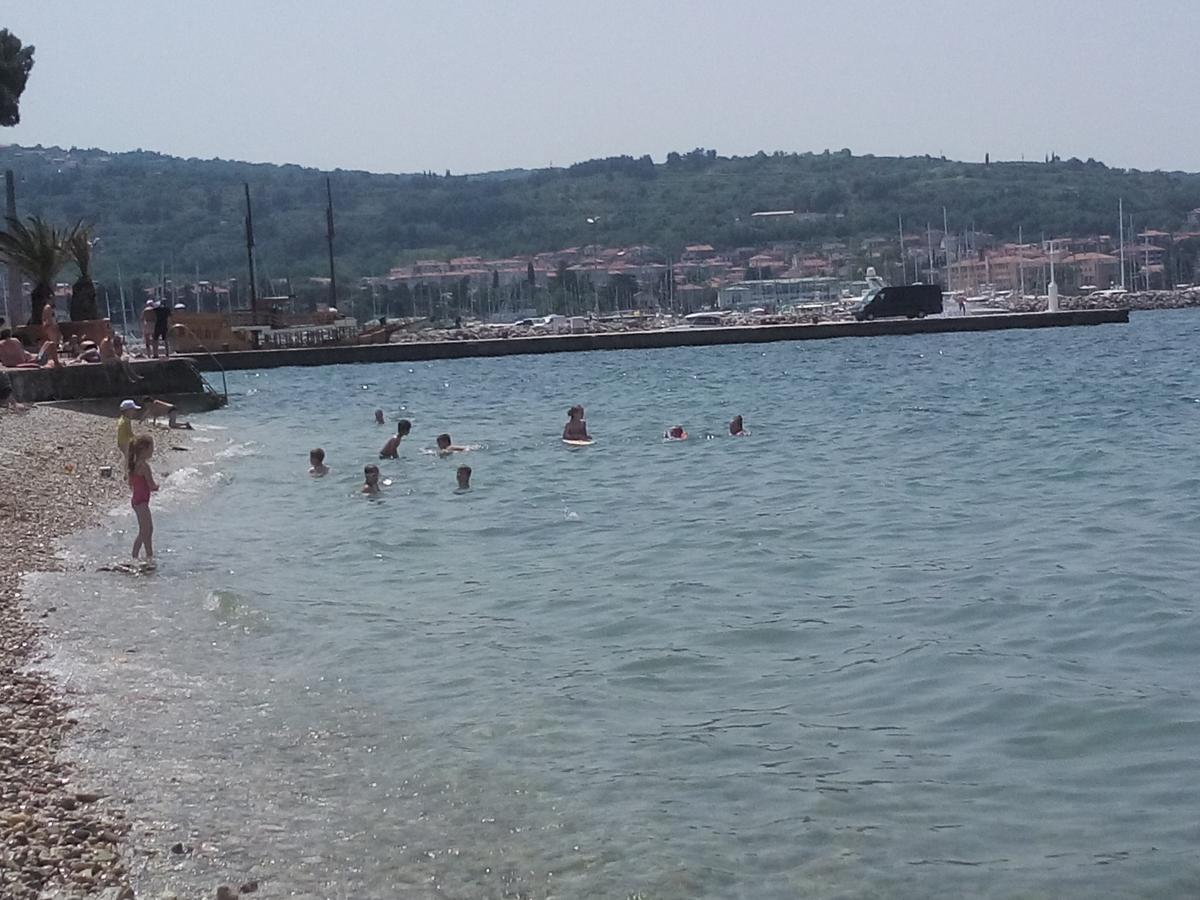 Hostel Xaxid Črni Kal Kültér fotó